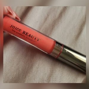 FREE!! MUST BUNDLE!! Juice Beauty Organic Lip Glos